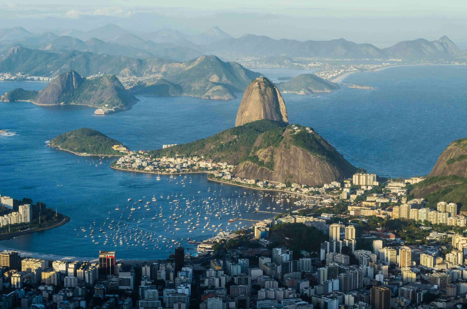 Polarización Electoral y Recomposición del Presidencialismo de Coalición en Brasil